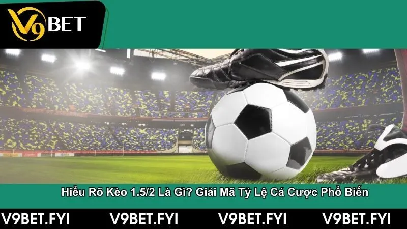 Kèo 1.5/2 là gì? Giải mã tỷ lệ cá cược phổ biến