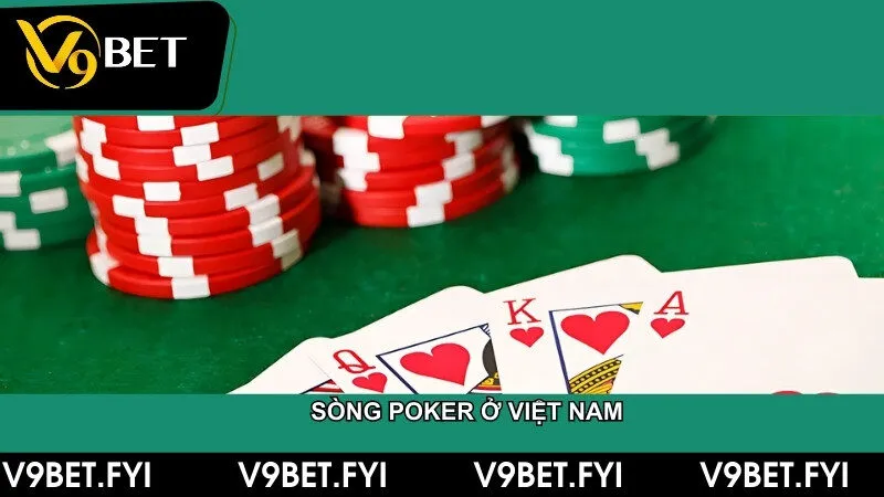 Đánh giá sòng poker ở Việt Nam - Chia sẻ trò chơi poker online